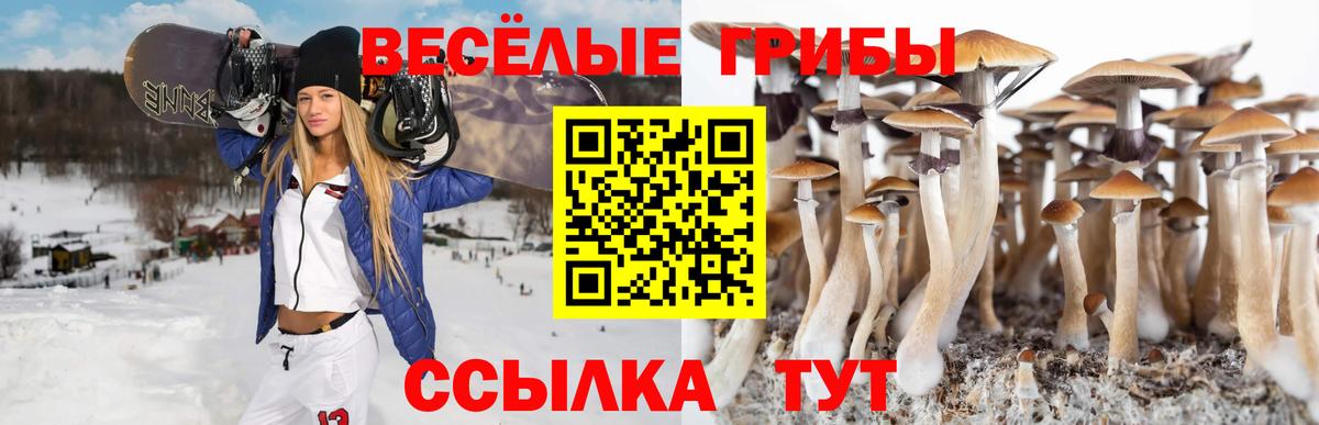 Псилоцибиновые грибы мицелий  Вход с VPN  Галлюциногенные грибы мицелий  купить   Южно-Сахалинск 